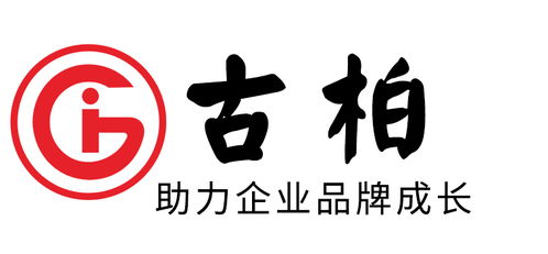 青島市品牌VI設(shè)計(jì) 打造企業(yè)獨(dú)特形象的專業(yè)指南
